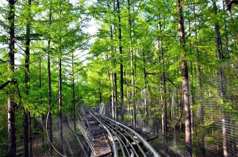 ��Ȧ(�й���)�������ǲ�!