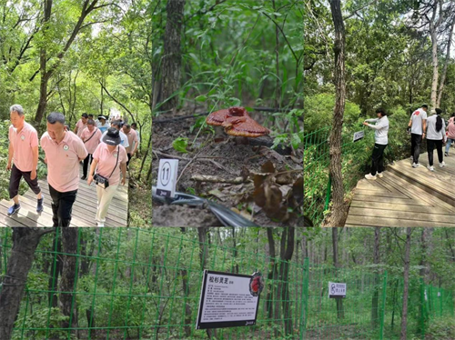 ��Ȧ(�й���)�������ǲ�!