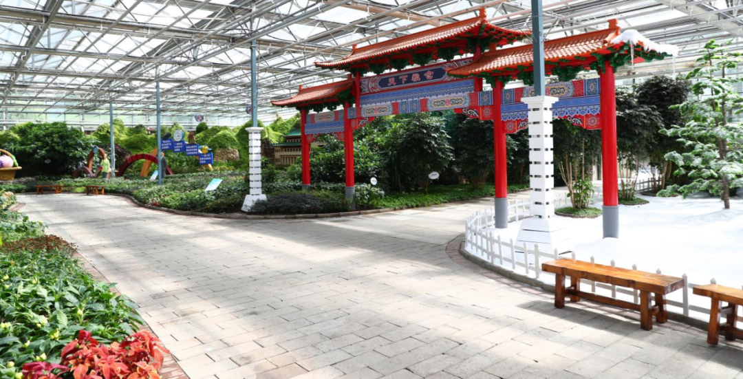 ��Ȧ(�й���)�������ǲ�!