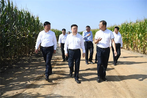 ��Ȧ(�й���)�������ǲ�!