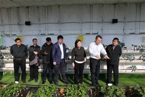 ��Ȧ(�й���)�������ǲ�!