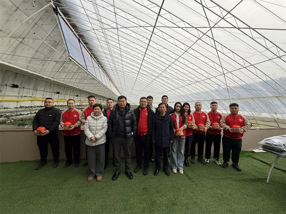 ��Ȧ(�й���)�������ǲ�!